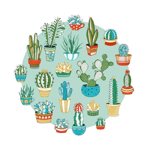 Cactus y suculentas ilustración vectorial redonda . — Archivo Imágenes Vectoriales