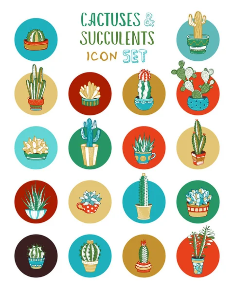 Vector cartoon cacti and succulent icon set. — Stock Vector