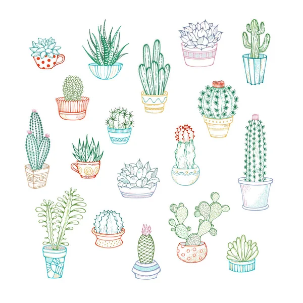 Vektor uppsättning av linjära ikoner av kaktusar och suckulenter. — Stock vektor