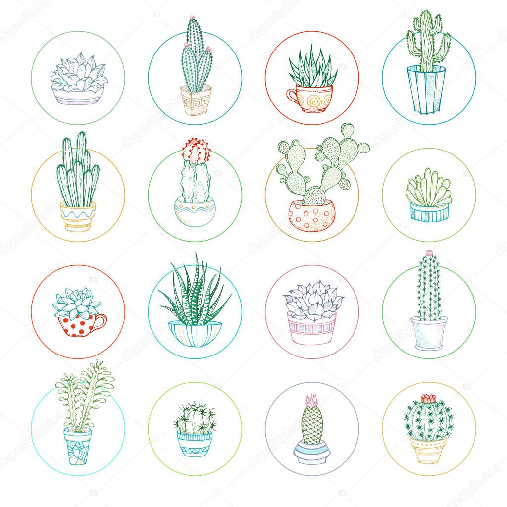 Vector linear cacti and succulent icon set.