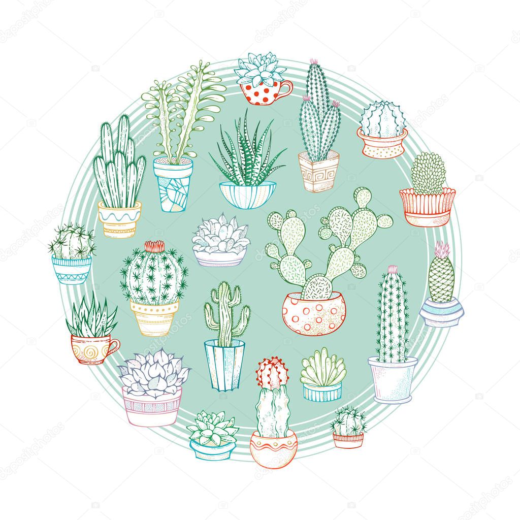 Cacti and succulents round vector linear illustration.