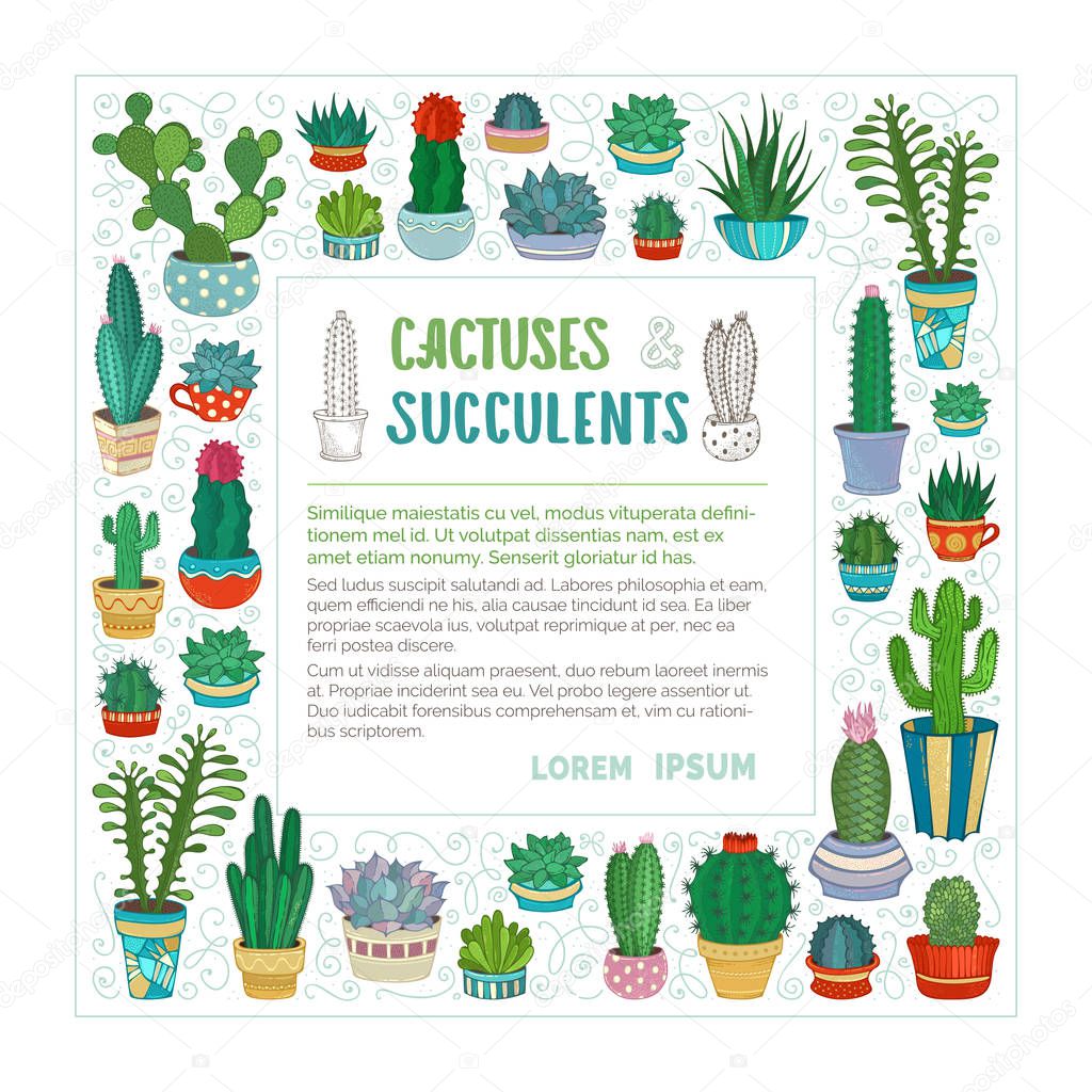 Vector cactuses and succulents square frame. 