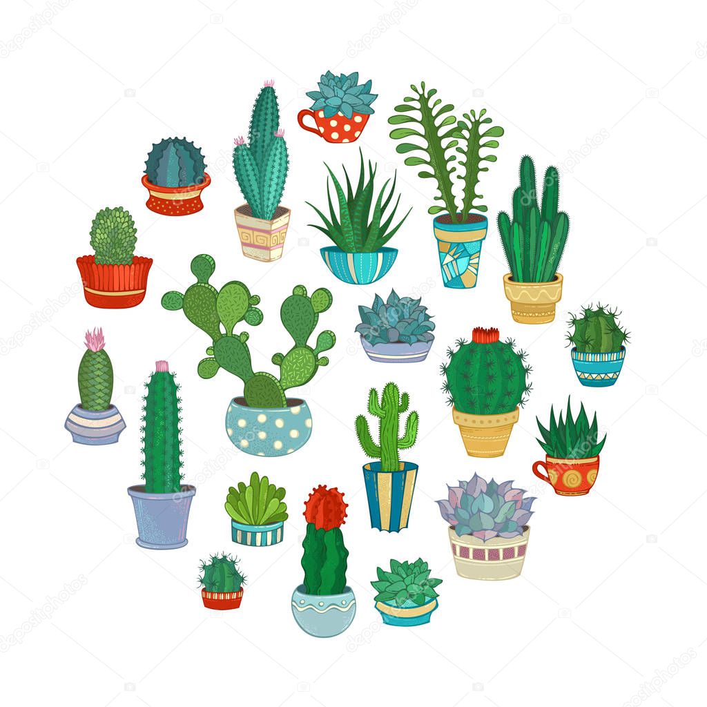 Cacti and succulents round vector illustration.