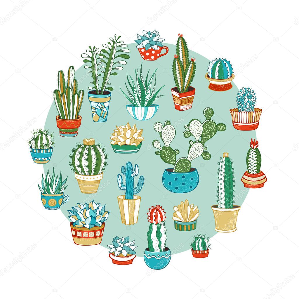 Cacti and succulents round vector illustration. 