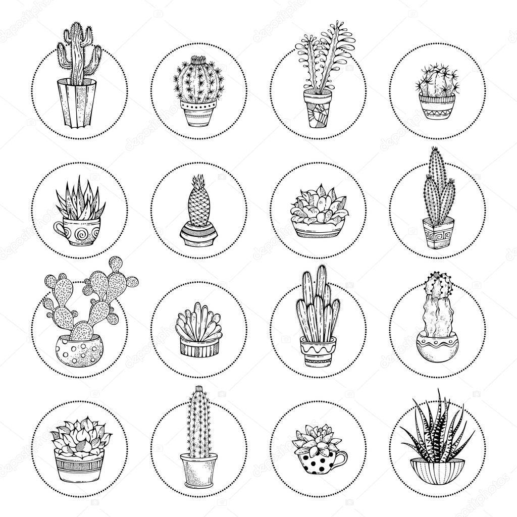 Vector doodles cacti and succulent icon set.