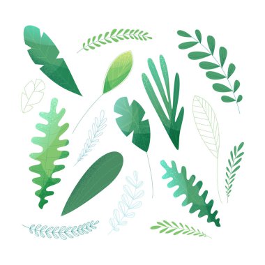 Beyaz arka planda izole edilmiş tropik tasarım elementleri. Dolduruldu ve özetlendi. Modern gürültü dokusuna, ışıklara ve gölgelere sahip düz çizimler.