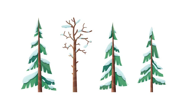 Besneeuwde Bomen Geïsoleerd Witte Achtergrond — Stockvector