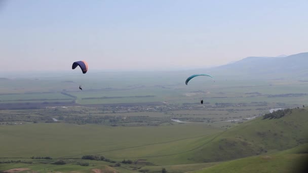 Lucht Sport Paragliding Vliegen Boven Grond — Stockvideo