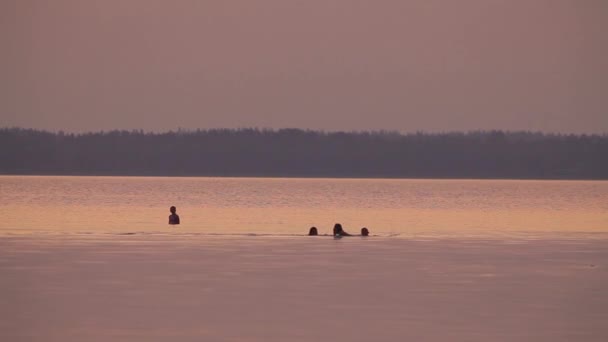 湖に沈む夕日 夏の夜します 地平線に太陽が沈む — ストック動画