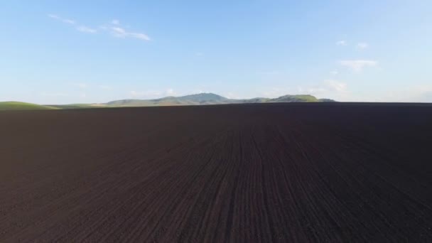 Inquérito Aéreo Terras Aráveis Campo Arborizado Terra Fértil Terra Arável — Vídeo de Stock