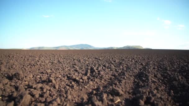 Câmara Arável Move Acima Solo Agricultura Preparando Terra Para Semear — Vídeo de Stock