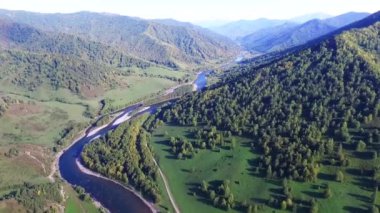 yaz günü güneş parlama ile çam ormanlar orman ve dağ Vadisi için ileriye. Bir dağ Nehir Vadisi boyunca hareket. Hava fotoğrafçılığı. Bir nehir güneş ışığı altında bir güzel dağ Vadisi.