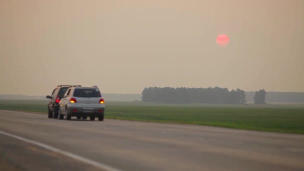 夕日を背景に高速道路 ロシアの道路沿いに車で旅行します 車で旅行のロマンス — ストック動画