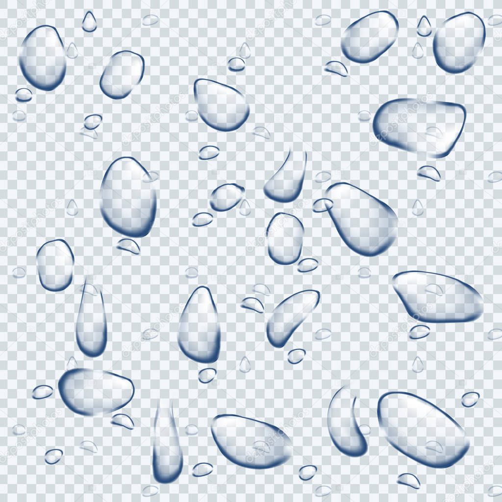Watter drops on transparent background