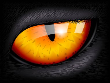 Kedi göz. Gerçekçi 3d görüntü