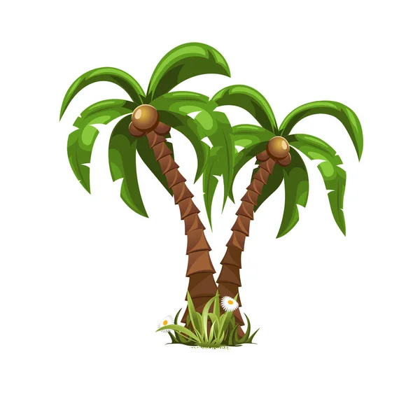 Güzel Palmiye Ağaçları — Stok Vektör