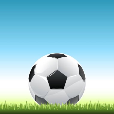 futbol topu çimlerin üzerinde