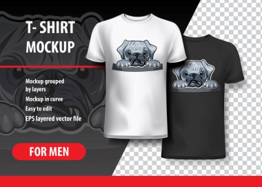 Kızgın Pug cebinde. T-shirt şablonu. Vektör grafikleri.
