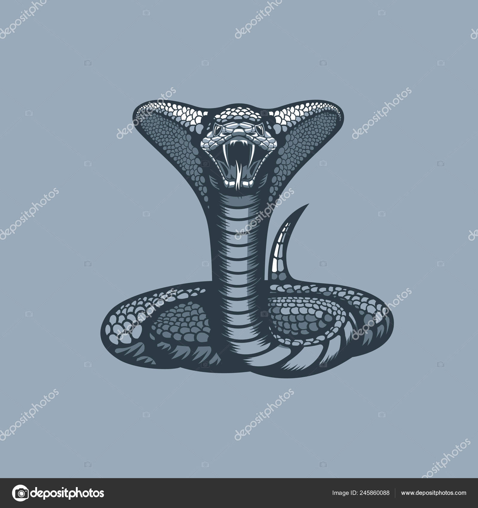 Vetores de Desenho Animado Bonito Da Víbora Da Cobra Azul Dentro