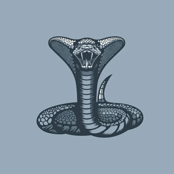 Desenho de víbora de cobra azul bonito