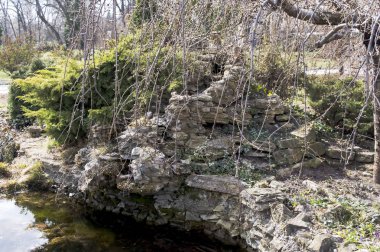 Erken baharda Botanik bahçesinde küçük bir göl