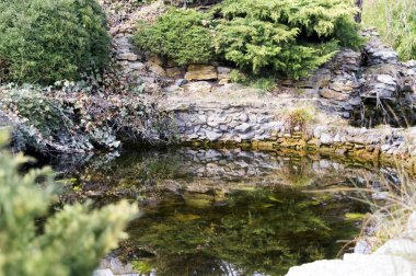 Erken baharda Botanik bahçesinde küçük bir göl