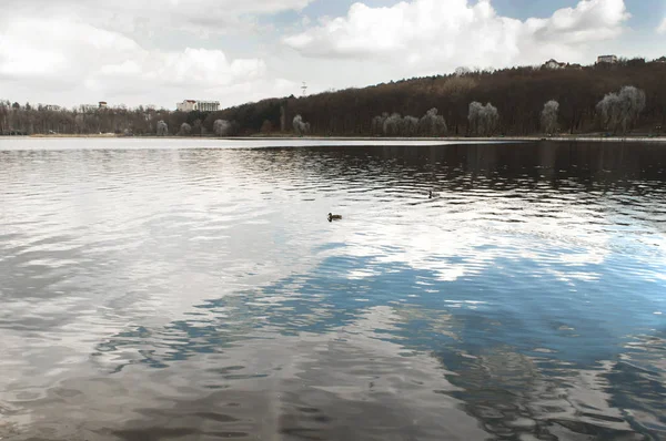Lago en el parque a principios de primavera — Foto de Stock