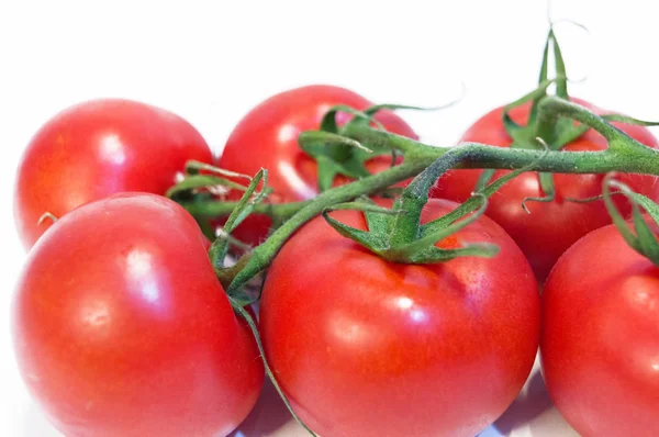 Višňová rajčata na bílém izolovaném pozadí — Stock fotografie