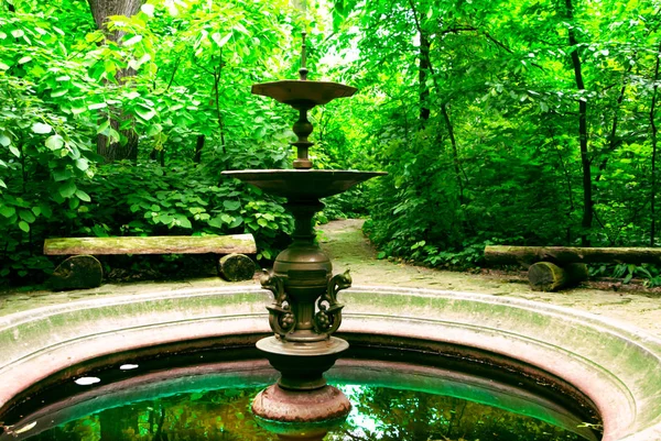 Old fountain in a green park with wooden benches — Stock Photo, Image