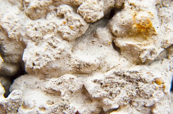 Yakın mesafeden arka plan duvarı