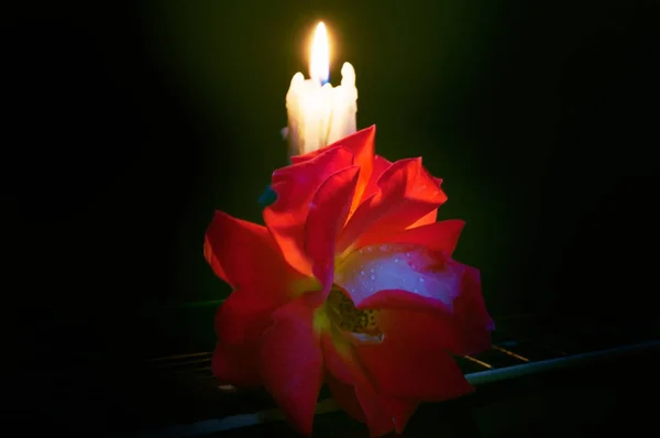 Composizione di candele e rose su sfondo scuro . — Foto Stock