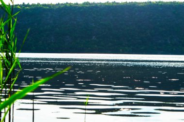 Sıcak yaz mevsiminde Güzel Dnestr Nehri.