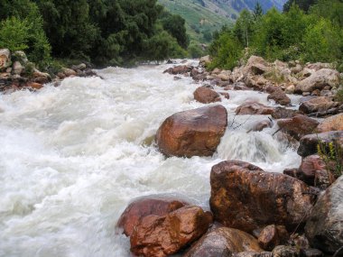 hızlı soğuk dağ gorge nehir