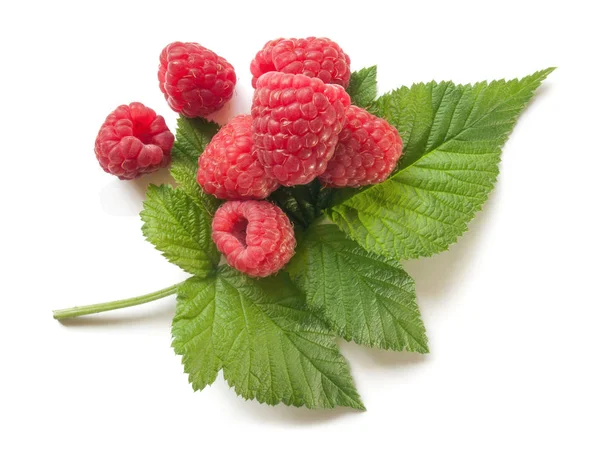 Fresh ripe raspberry isolated on white background — Stock Photo, Image