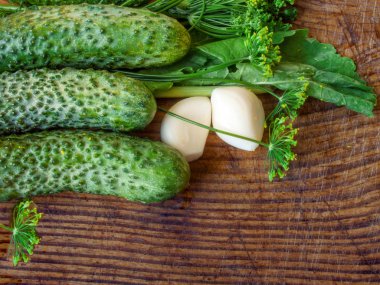 taze salatalık, dereotu ve sarımsak bir ahşap tahta üzerinde