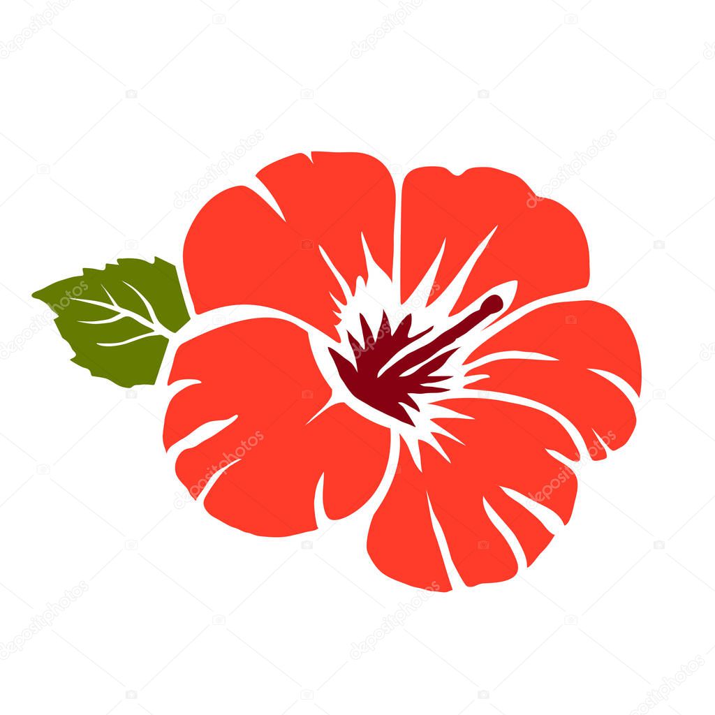 red hibiscus flower vector illustration