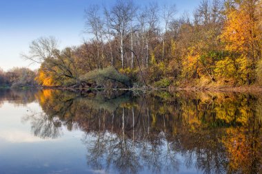 Altın Sonbahar Orman Nehri