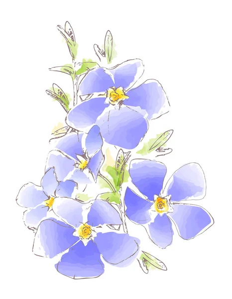 蓝色春天的花水彩画, 向量 — 图库矢量图片
