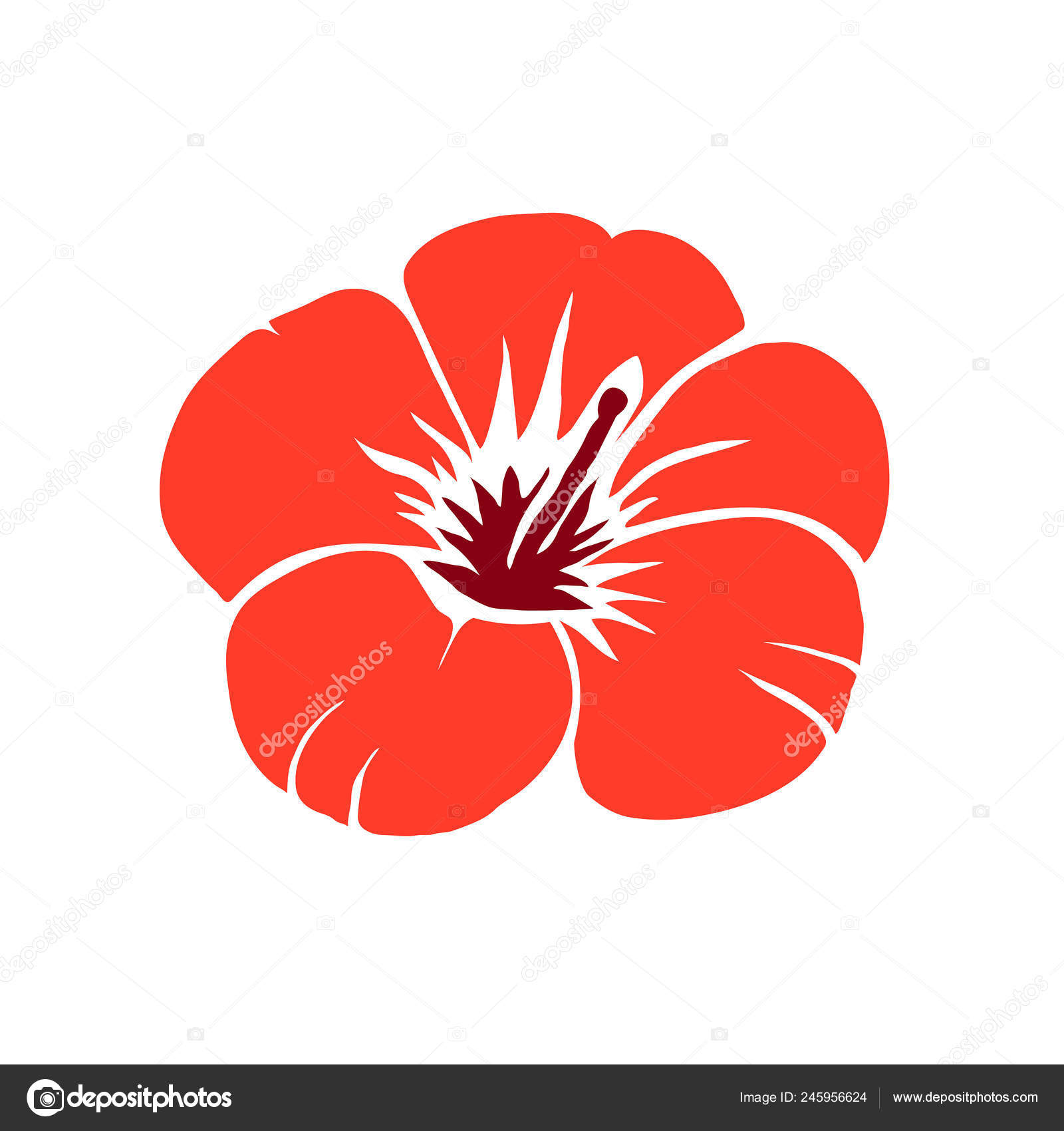 Red hibiscus flower vector illustration Stock Vector Image by ©tkorop