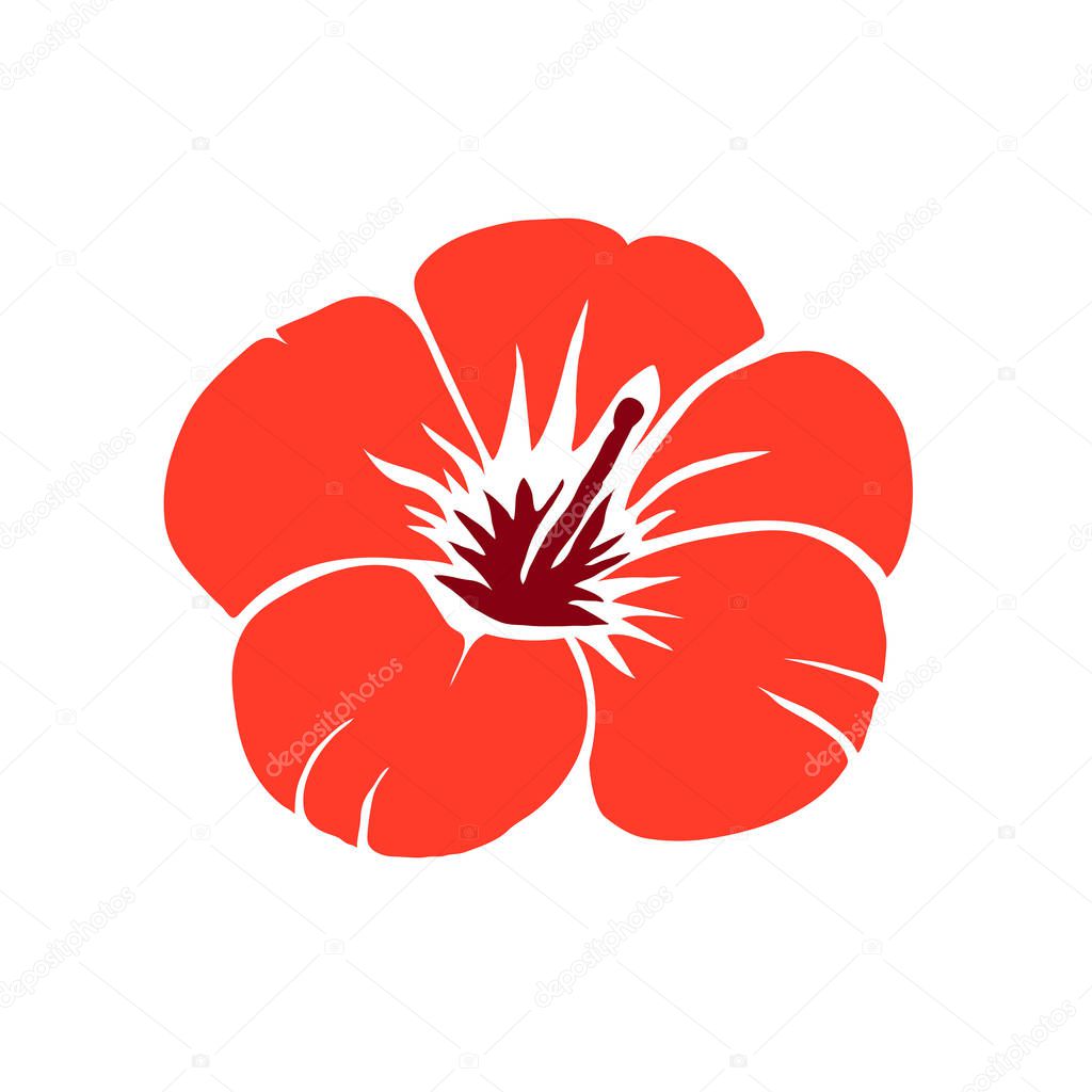 red hibiscus flower vector illustration