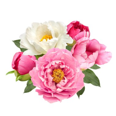 pembe ve beyaz şakayık çiçekleri buketi izole