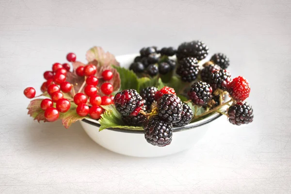 Satu set buah berry segar yang lezat dalam piring putih — Stok Foto