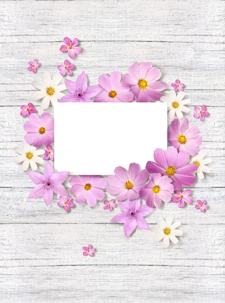 A sheet of paper surrounded by delicate pink chamomiles flowers on a light background — Stock Photo, Image