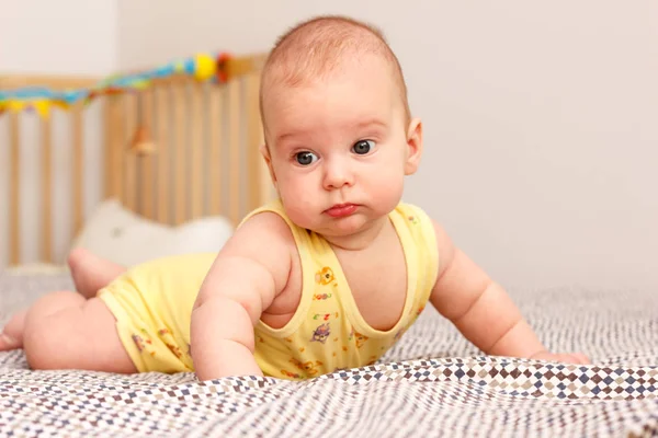 Feliz bebé de tres meses bien alimentado acostado sobre una manta en el estómago. Se apoya en sus manos. Bebé como un jefe. Amarillo . —  Fotos de Stock