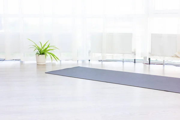 Büyük, parlak spor salonunda yoga yapmak için gri halı yeşil çiçekler..