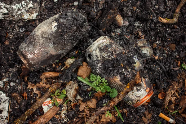 Ekologi problem, ett berg av aluminiumburkar i skogen — Stockfoto