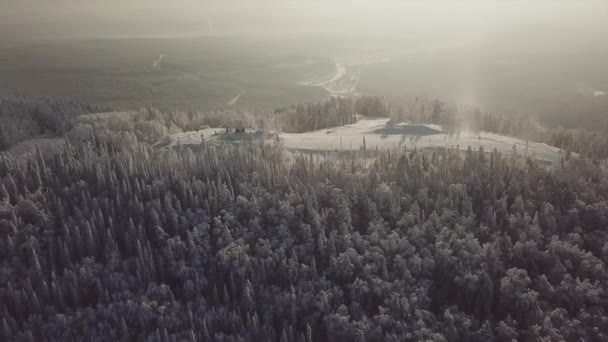 Top View Russian Chelyabinsk Forest Trees Fields Ski Resort Descent — Stock Video