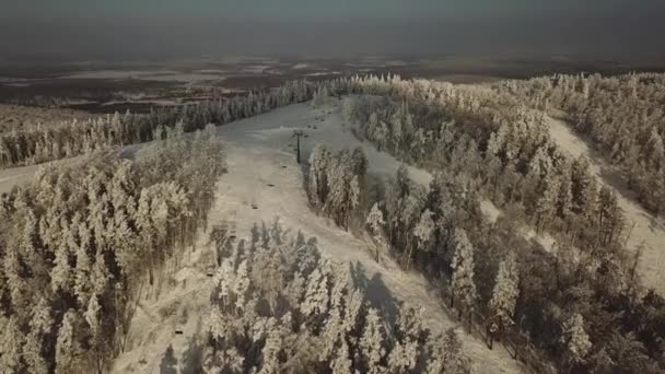 Vista Dall Alto Della Foresta Russa Chelyabinsk Alberi Campi Stazione — Video Stock