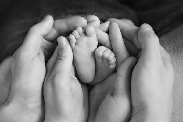 Pés Bebê Recém Nascido Mãe Segurando Pernas Bebê Recém Nascido — Fotografia de Stock