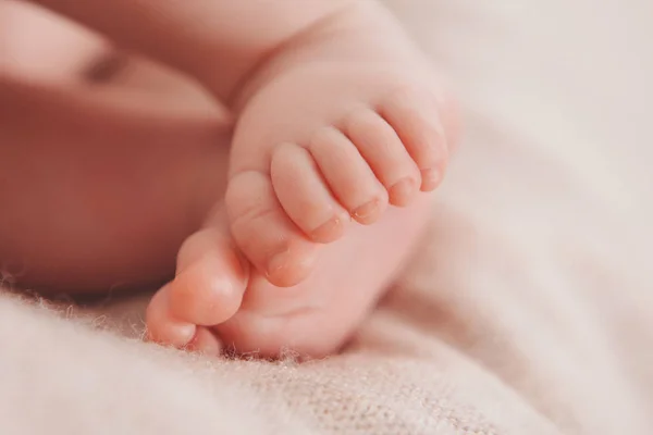 Feet Newborn Baby Close — Stock Photo, Image